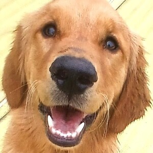 Fundraising Page: Sandy Parker